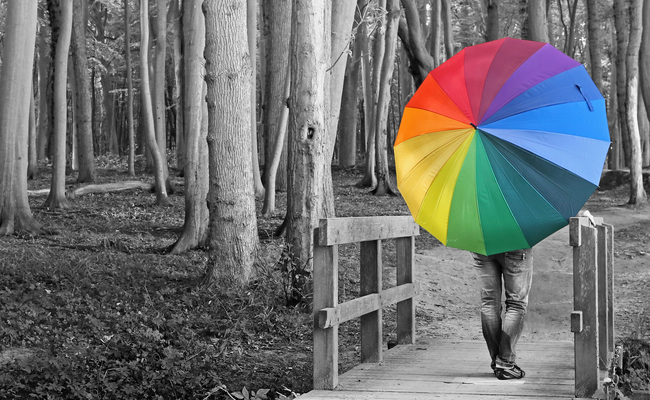 panduan warna pada website